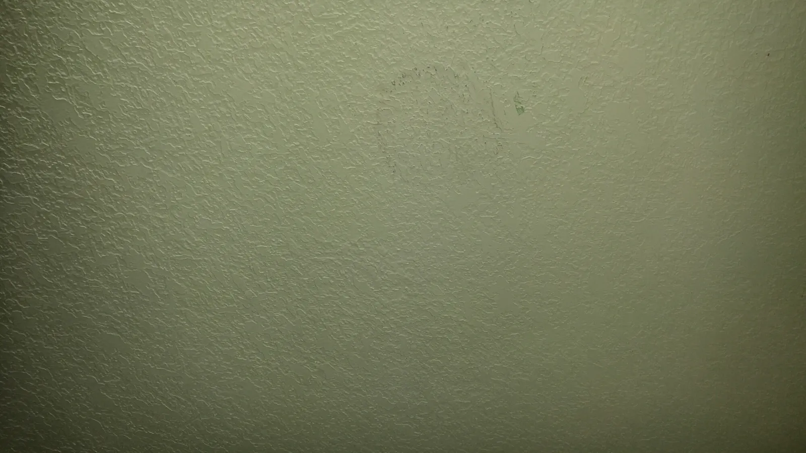 wp-1454553847640 image